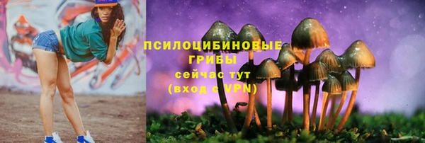 mdpv Верея