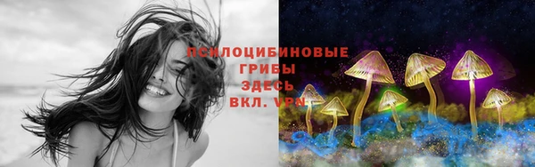 МДПВ Верхний Тагил