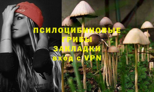 гашик Вяземский