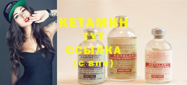 гашик Вяземский