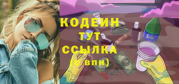 гидра Бородино
