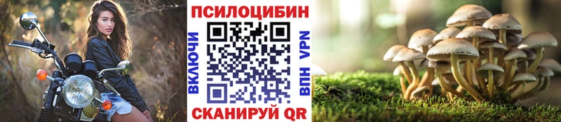 blacksprut как зайти  Дорогобуж  Псилоцибиновые грибы MAGIC MUSHROOMS 